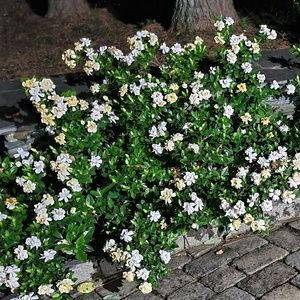 Meet your Posher, Stephen